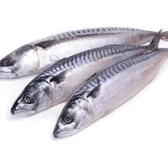 Mackerel Titus - 1kg