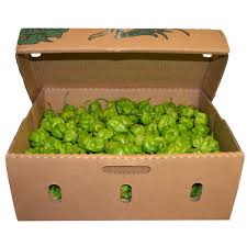 Green Habanero Pepper - Box