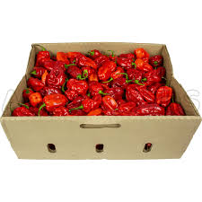 Red hot pepper - box